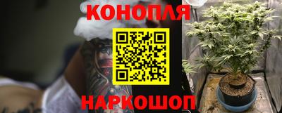крисы Мариинск